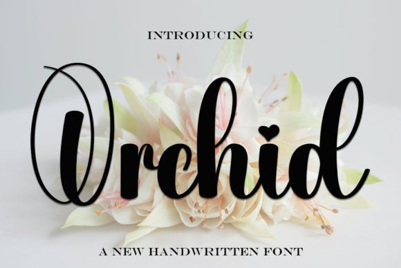 Orchid: A Relaxed Handwritten Typeface for Editorial Design